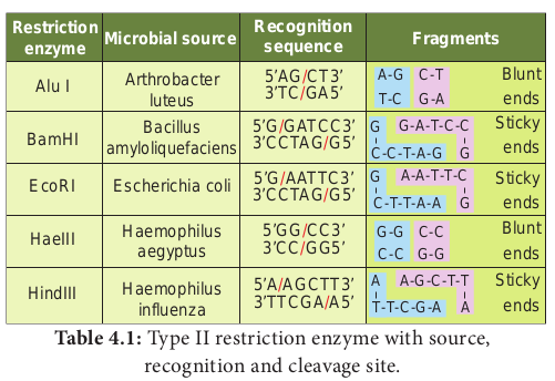 Table 4.1: Type II restriction enzyme with source, recognition and cleavage site.