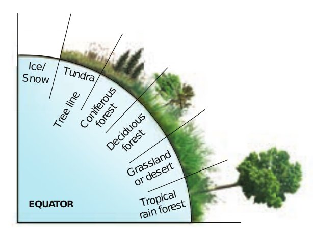 Latitudinal zonation of vegetation 