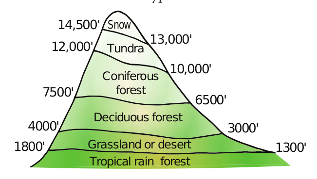 Altitudinal zonation of vegetation