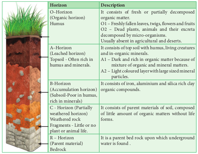 Figure 6.7: Soil Profile