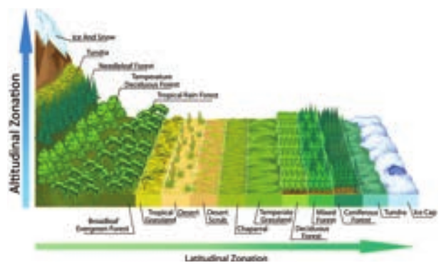 Latitudinal and Altitudinal Vegetation