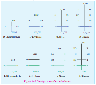 Figure 14.2 Configuration of carbohydrates