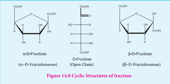 Figure 14.8 Cyclic Structures of fructose