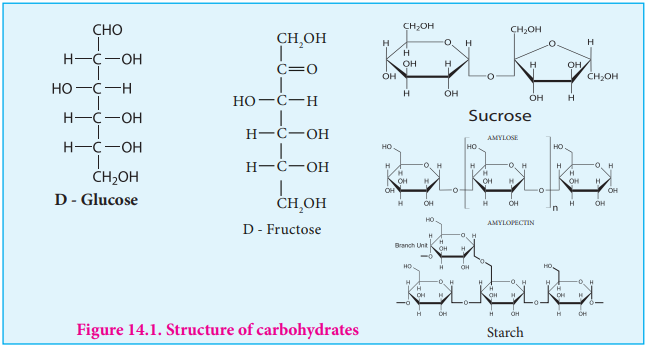 Figure 14.1. Structure of carbohydrates