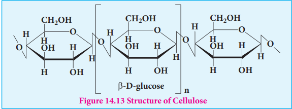 Figure 14.13 Structure of Cellulose