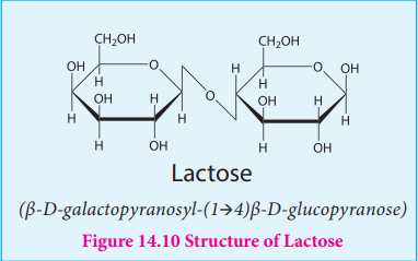 Figure 14.10 Structure of Lactose