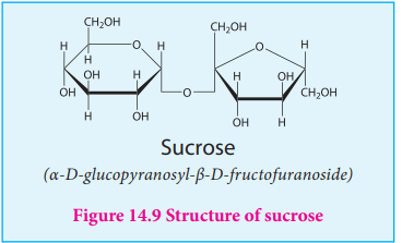 Figure 14.9 Structure of sucrose