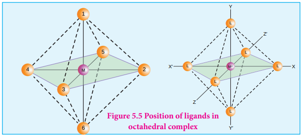 Position of Ligands