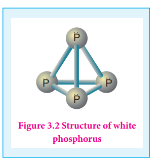 structure-of-white