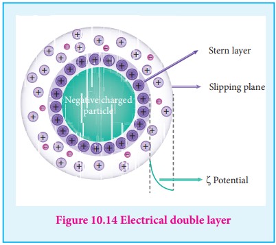 Electical Double Layer