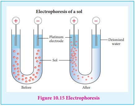 Electophoresis