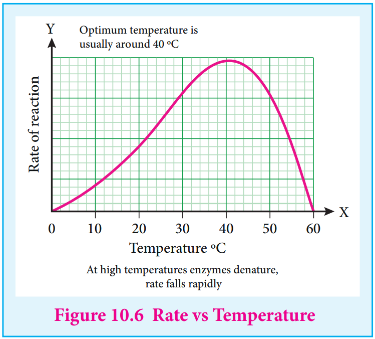 Alt Figure 10.6 Rate vs Temperature