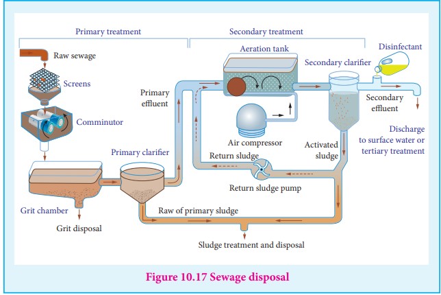 Alt Sewage Disposal