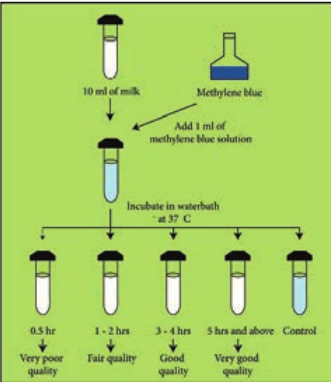  Methylene Blue dye Reduction Test