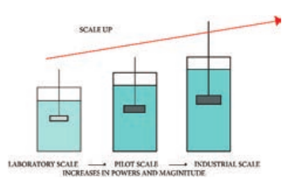  Scale up in industrial fermentation  