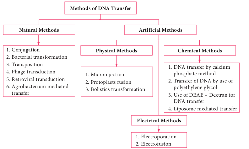  Methods of DNA transfer