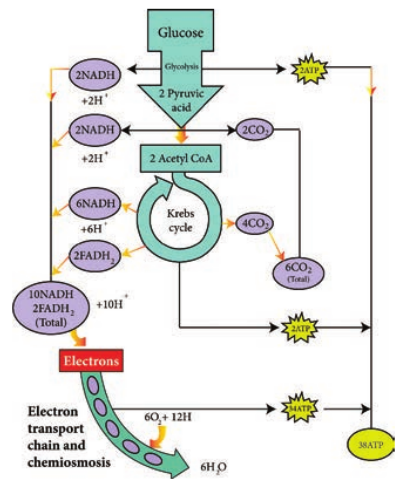  Overview of