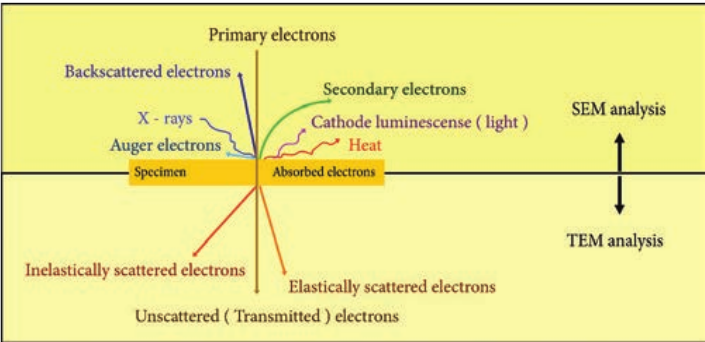  Interaction between e  