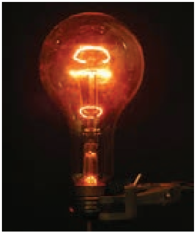 Introduction Bulb Image