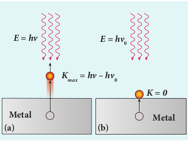 Fig 8.13