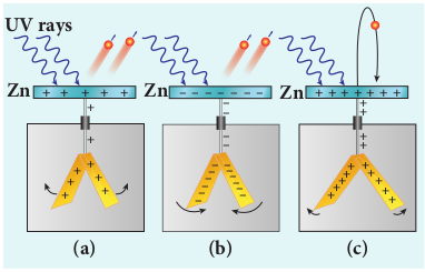 fig 8.6