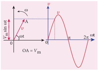 Phasor diagram for an alternating voltage <em>v</em> = <em>Vm</em> sin ωt