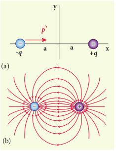 (a) Electric dipole (b) Electric field lines for the electric dipole