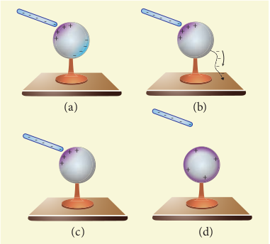 Various steps in electrostatic induction