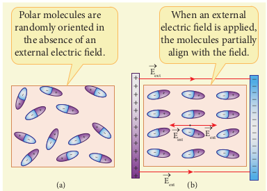 (a) Randomly oriented polar molecules (b) Align with the external electric field