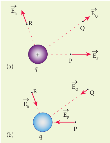 (a) Electric field due to positive charge (b) Electric field due to negative charge