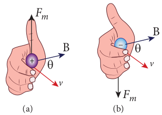 Direction of the Lorentz force on (a) positive charge (b) negative charge