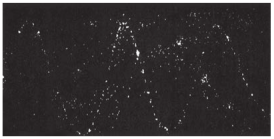 Helical path of the electron inside the cloud chamber  