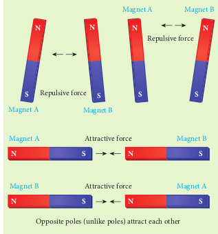 Magnetic poles