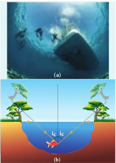 (a) Snell’s window and (b) angle of view for water animals