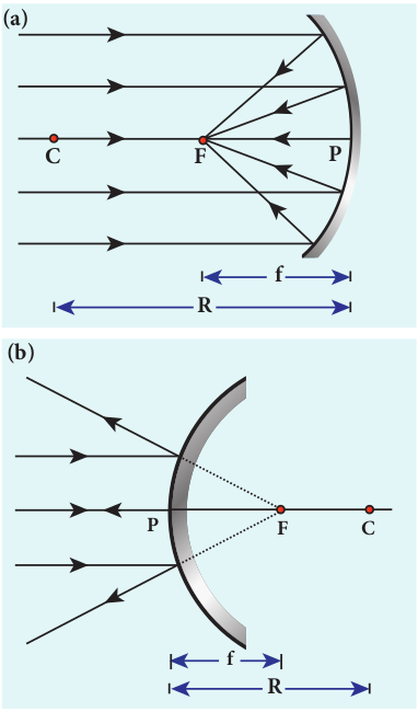 Representation of terminologies for (a) concave and (b) convex mirrors  