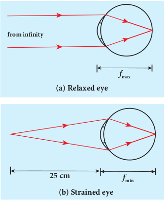 focusingofnormal light