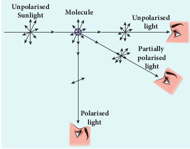 polarisation of scattering