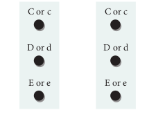 Fig. 4.1 Fischer and Race hypothesis