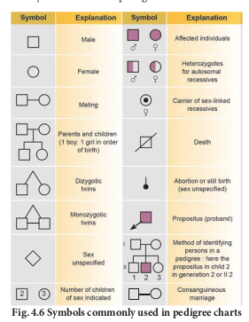 Fig. 4.6 Symbols commonly used in pedigree charts