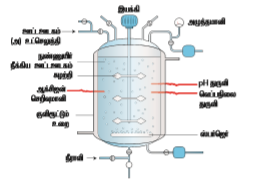 படம் 4.2: ஸ்பைருலினா பொருள்கள்